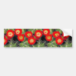 Claret cup cactus bumper sticker