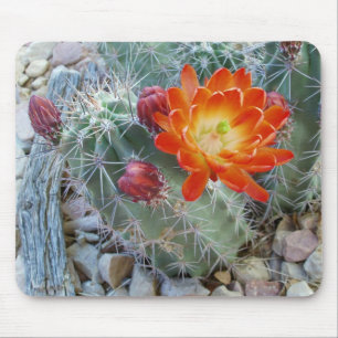 Claret Cup Cactus Flower Mousepad