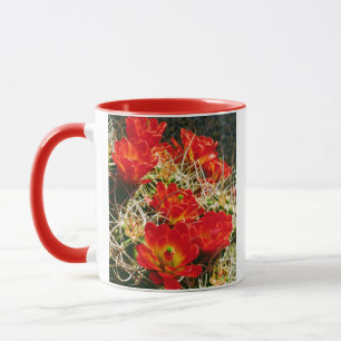 Claret Cup Cactus Wildflowers