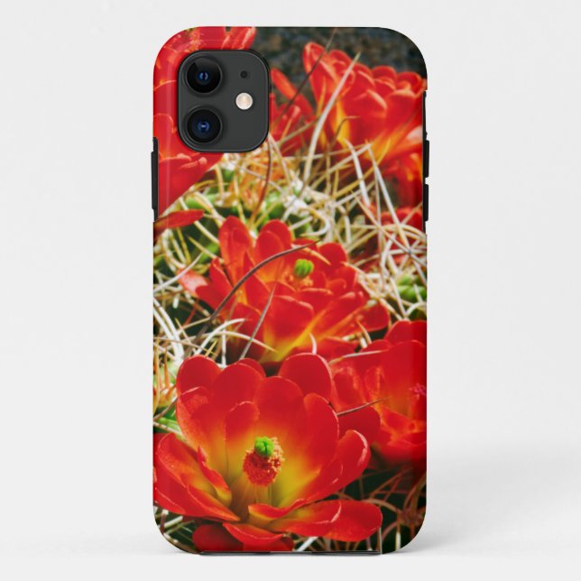 Claret Cup Cactus Wildflowers Case-Mate iPhone Case (Back)