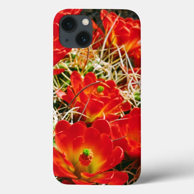 Claret Cup Cactus Wildflowers Case-Mate iPhone Case (Back)