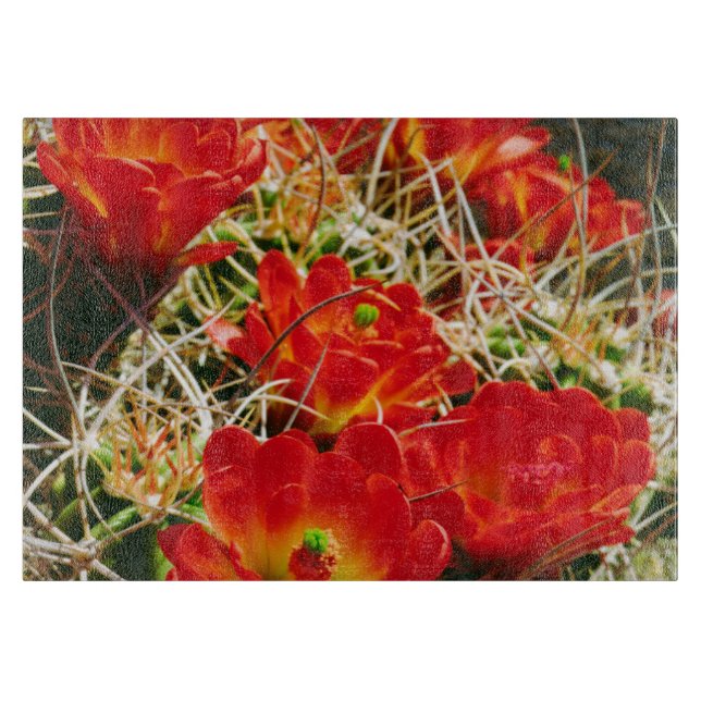 Claret Cup Cactus Wildflowers Cutting Board (Front)