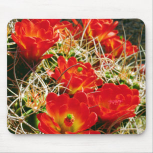 Claret Cup Cactus Wildflowers Mouse Pad