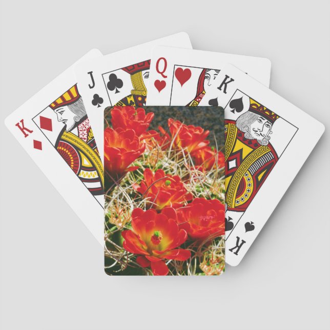Claret Cup Cactus Wildflowers Playing Cards (Back)