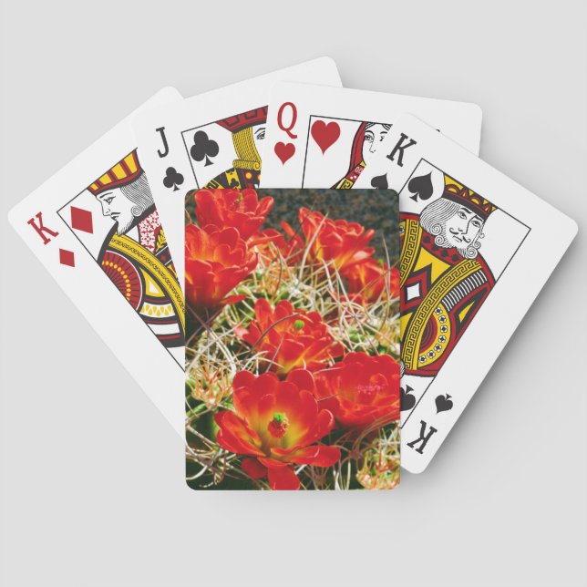 Claret Cup Cactus Wildflowers Playing Cards (Back)