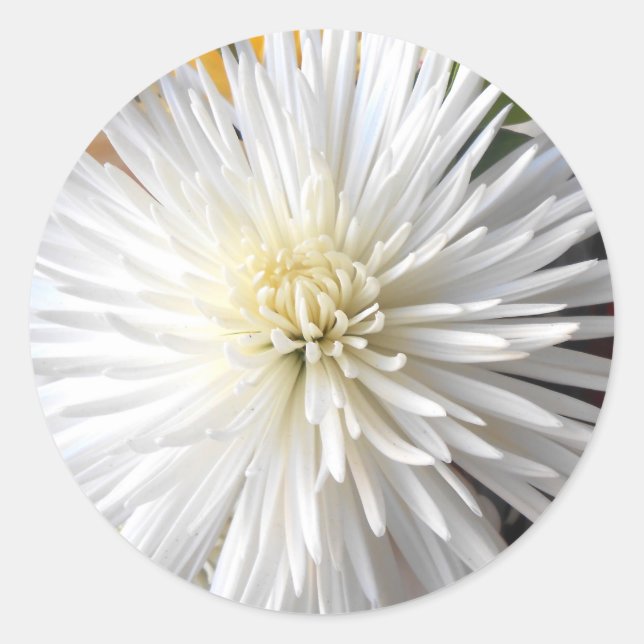 Claricia Classic Round Sticker (Front)