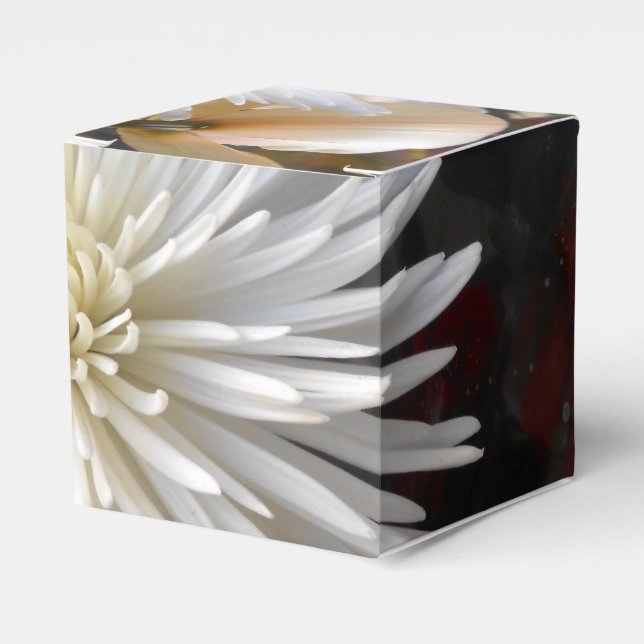 Claricia Favour Box (Front Side)