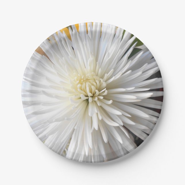 Claricia Paper Plate (Front)