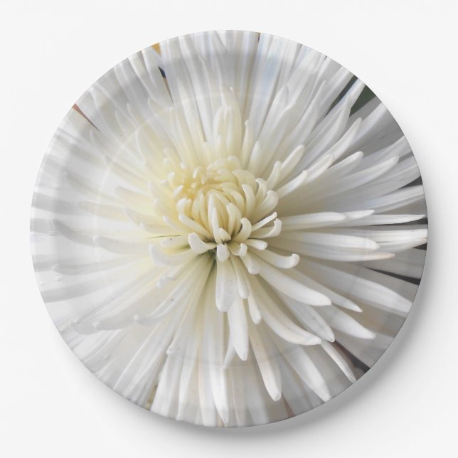 Claricia Paper Plate (Front)