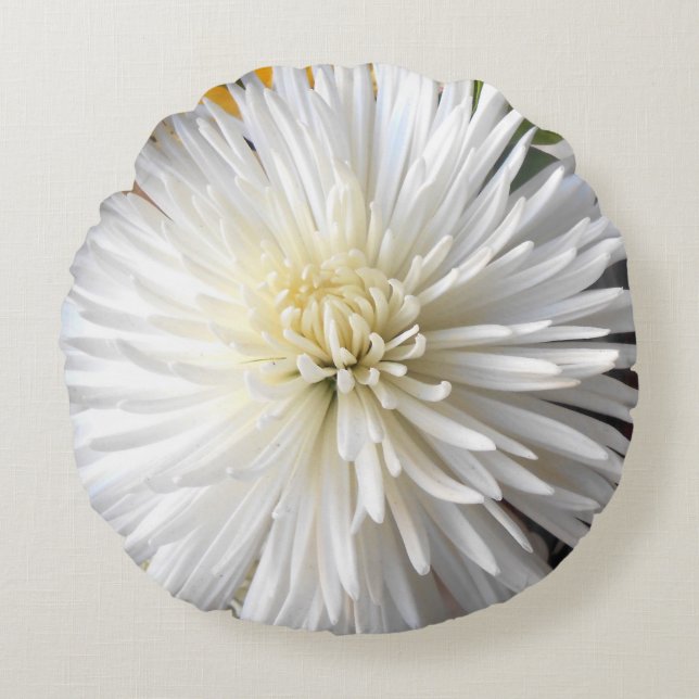 Claricia Round Cushion (Front)