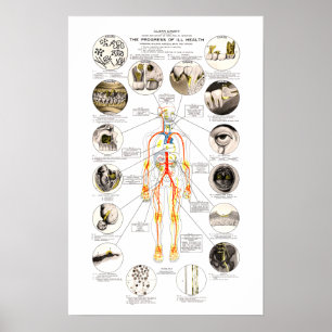 Clark Dental Health Chart for Dentist