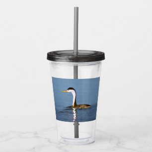 Clark's Grebe Painting - Original Bird Art Acrylic Tumbler
