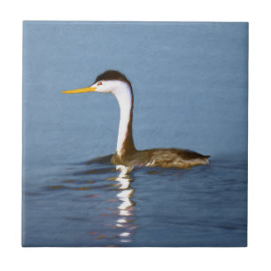 Clark's Grebe Painting - Original Bird Art Ceramic Tile