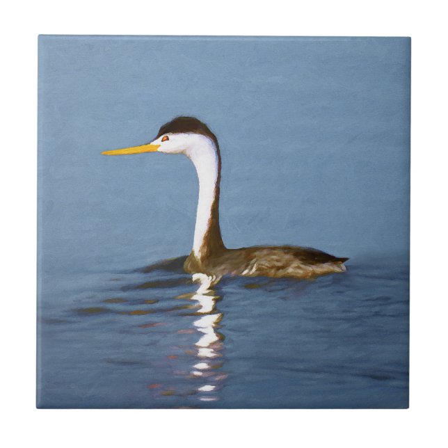 Clark's Grebe Painting - Original Bird Art Ceramic Tile (Front)
