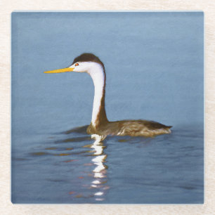 Clark's Grebe Painting - Original Bird Art Glass Coaster