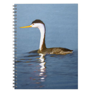 Clark's Grebe Painting - Original Bird Art Notebook
