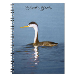 Clark's Grebe Painting - Original Bird Art Notebook
