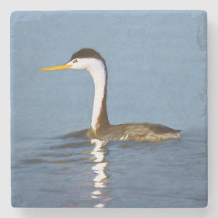 Clark's Grebe Painting - Original Bird Art Stone Coaster