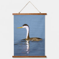 Clark's Grebe Painting - Original Wild Bird Art
