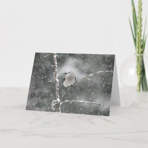 Clark's Nutcracker Holiday Card