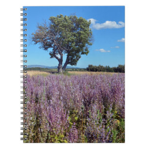 Clary sage field in France Notebook