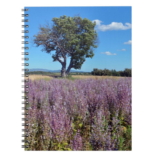 Clary sage field in France Notebook (Front)