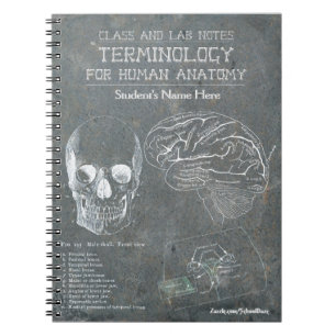 Class and Lab Notes - Terminology (Personalised) Notebook
