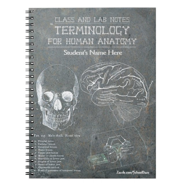 Class and Lab Notes - Terminology (Personalised) Notebook (Front)