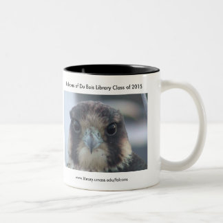 Class of 2015 Falcon mug