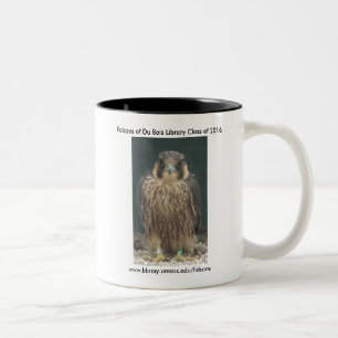 Class of 2016 Falcon mug