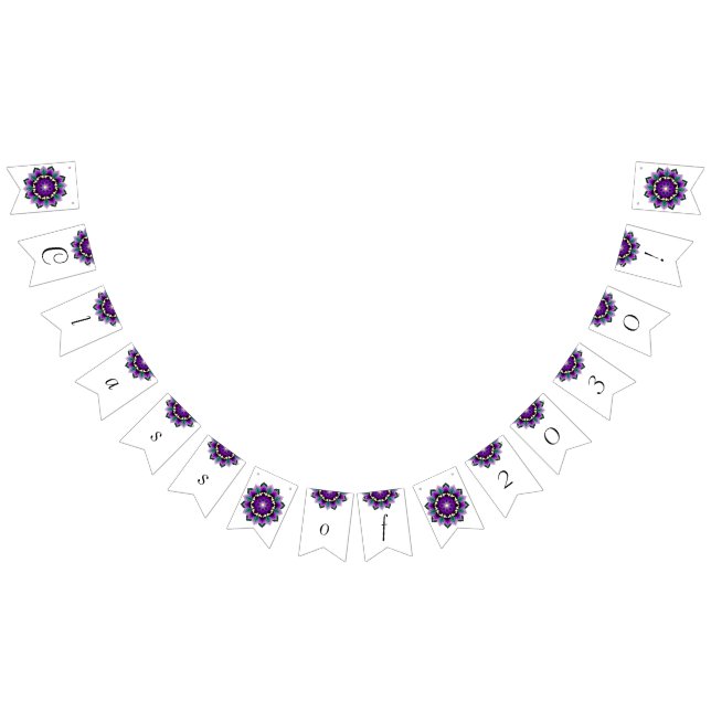 Class of 2030! Mandala in purple Bunting (All)