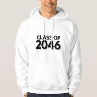 Class of 2046 hoodie