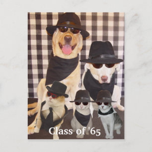 Class Reunion Invitation Postcard