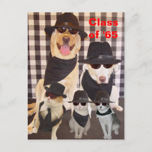 Class Reunion Postcard/Invitation Invitation Postcard