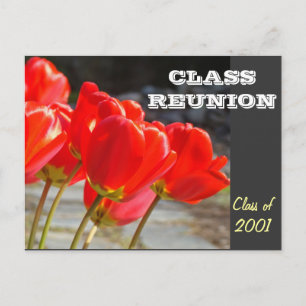 CLASS REUNION postcard Invitations Red Tulips