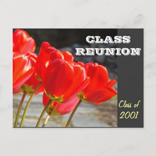CLASS REUNION postcard Invitations Red Tulips (Front)