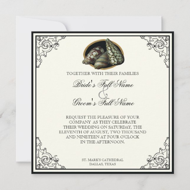 Class Shells Black and Cream - Wedding Invitation (Front)