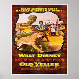 Classic 1957 Coming of Age Movie Poster