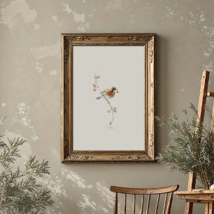 Classic American Robin Watercolor Art with Berries Poster