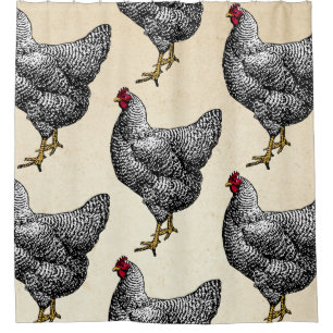 Classic Barred Plymouth Rock Chicken Hen Shower Curtain
