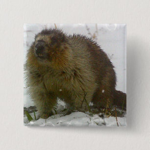 Classic Beavers Square Pin