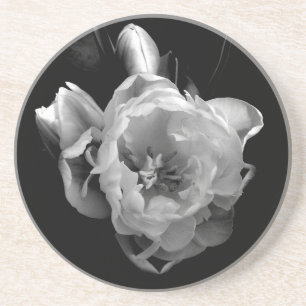 Classic Black and White Flower III Coaster