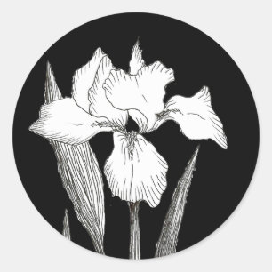 Classic Black and White Iris Sticker