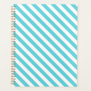 Classic blue and white diagonal stripes planner