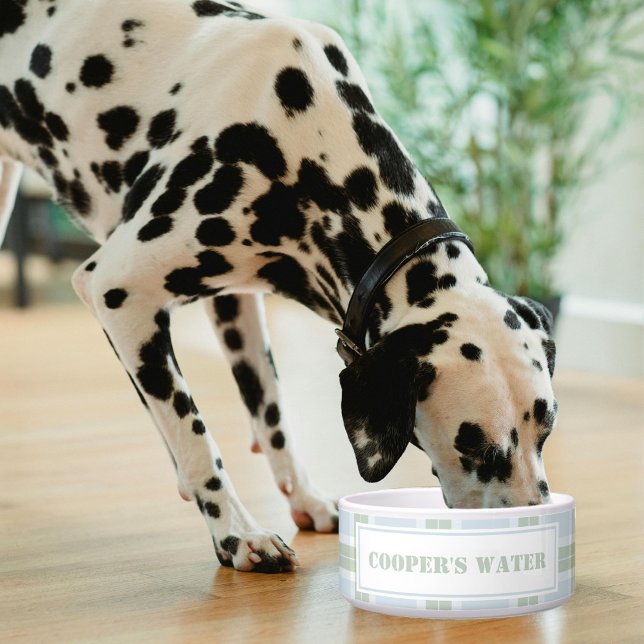Classic Blue Green Plaid Pattern Name Dog Water (Creator Uploaded)
