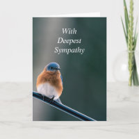 Classic Bluebird Garden Bird Encouraging Quote