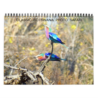 CLASSIC BOTSWANA PHOTO SAFARI CALENDAR