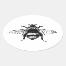 Classic Bumble Bee