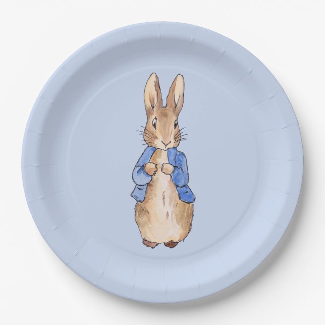 Classic bunny rabbit blue background paper plate (Front)