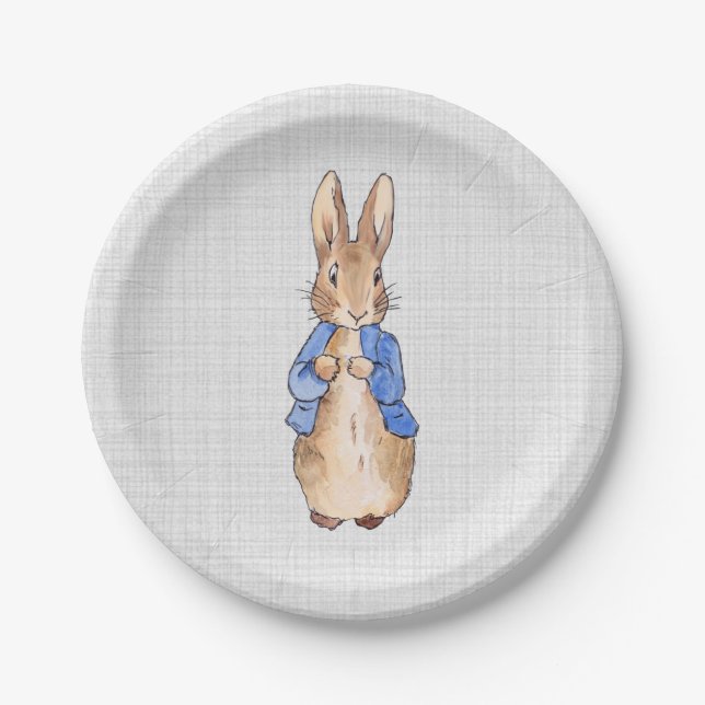 Classic Bunny Rabbit blue jacket Paper Plate (Front)